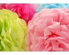 2 Pack Large Poms-Your Choice Of Colour